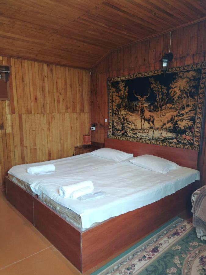 Iris B&B In Debed Canyon 阿拉韦尔迪 客房 照片