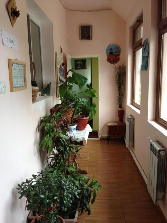 Iris B&B In Debed Canyon 阿拉韦尔迪 外观 照片