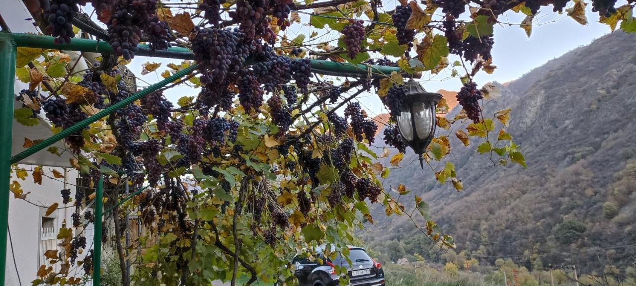 Iris B&B In Debed Canyon 阿拉韦尔迪 外观 照片