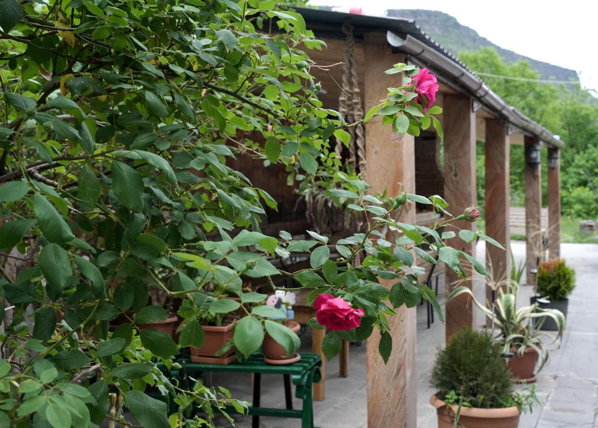 Iris B&B In Debed Canyon 阿拉韦尔迪 外观 照片