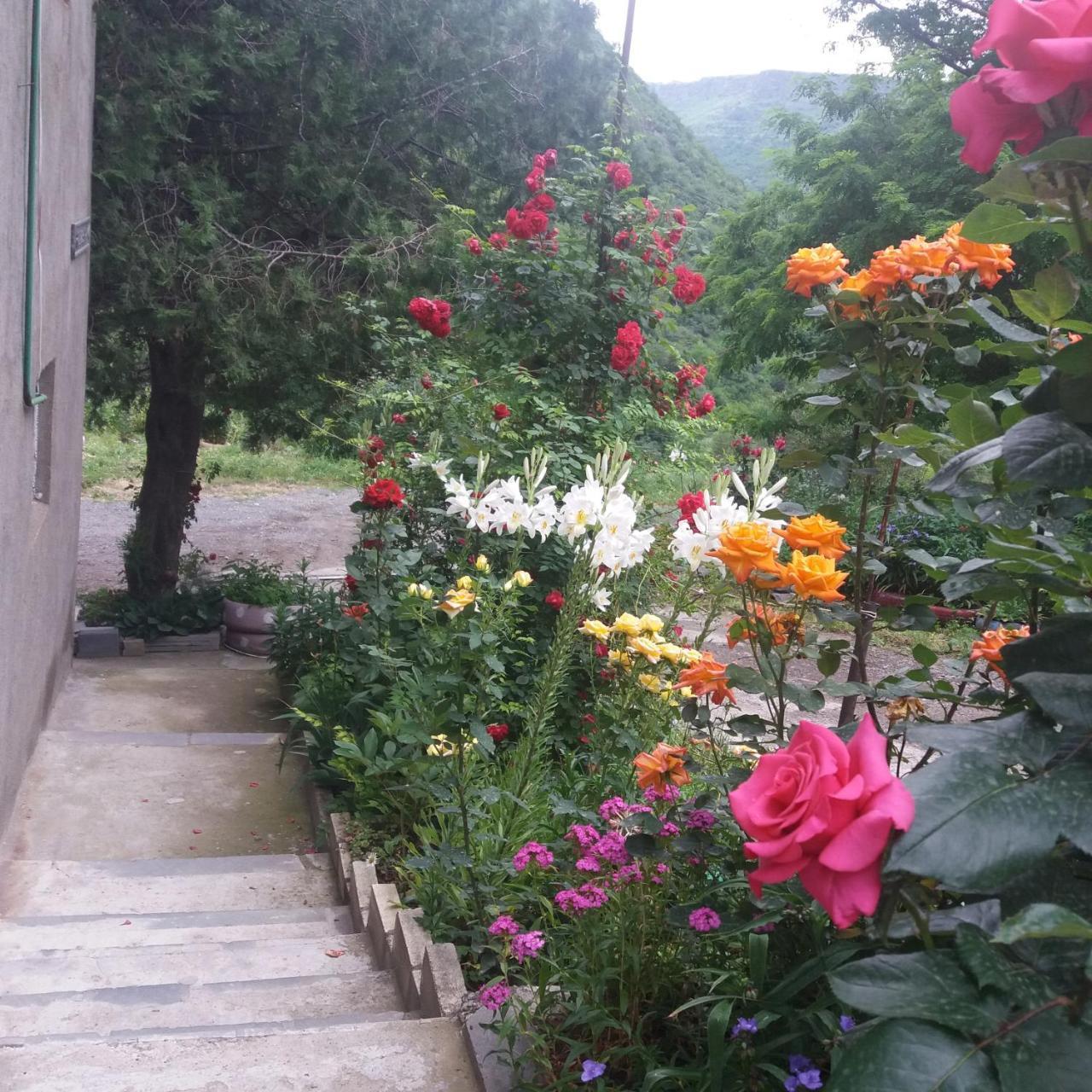 Iris B&B In Debed Canyon 阿拉韦尔迪 外观 照片