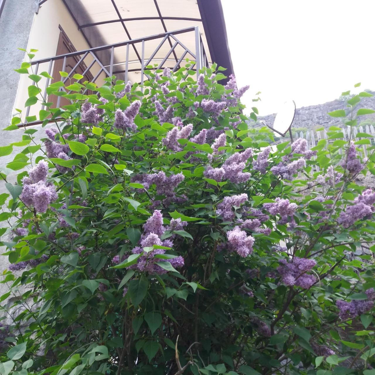 Iris B&B In Debed Canyon 阿拉韦尔迪 外观 照片
