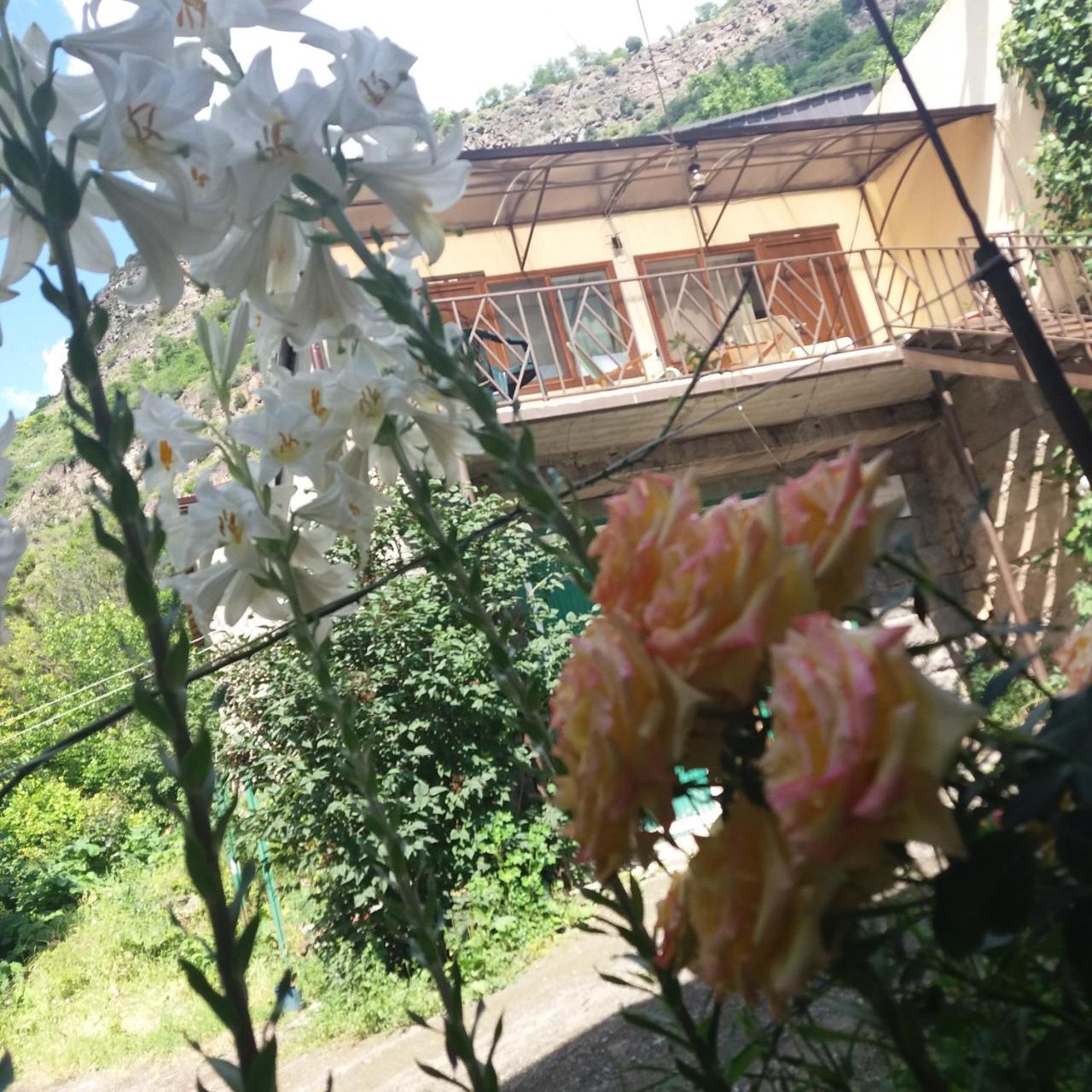 Iris B&B In Debed Canyon 阿拉韦尔迪 外观 照片